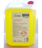 FANTASY Καθαριστικό Υγρό Πιάτων Λεμόνι 4Lit Απορρυπαντικά